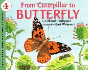 By Deborah Heiligman - From Caterpillar to Butterfly (Let's-Read-and-Find-Out Science, S (English Language) (1996-05-31) [Paperback]