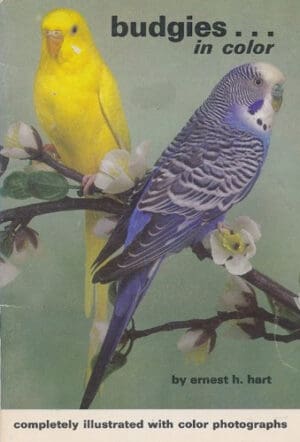 Budgies in Color