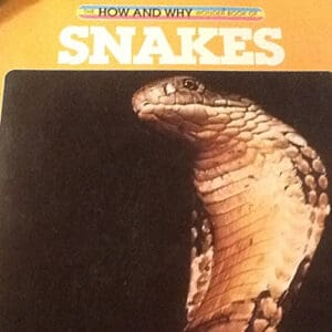 Hw Snakes