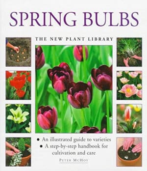 [(Spring Bulbs : A Step-by-step Handbook for Cultivation and Care)] [By (author) Peter McHoy] published on (April, 1998)