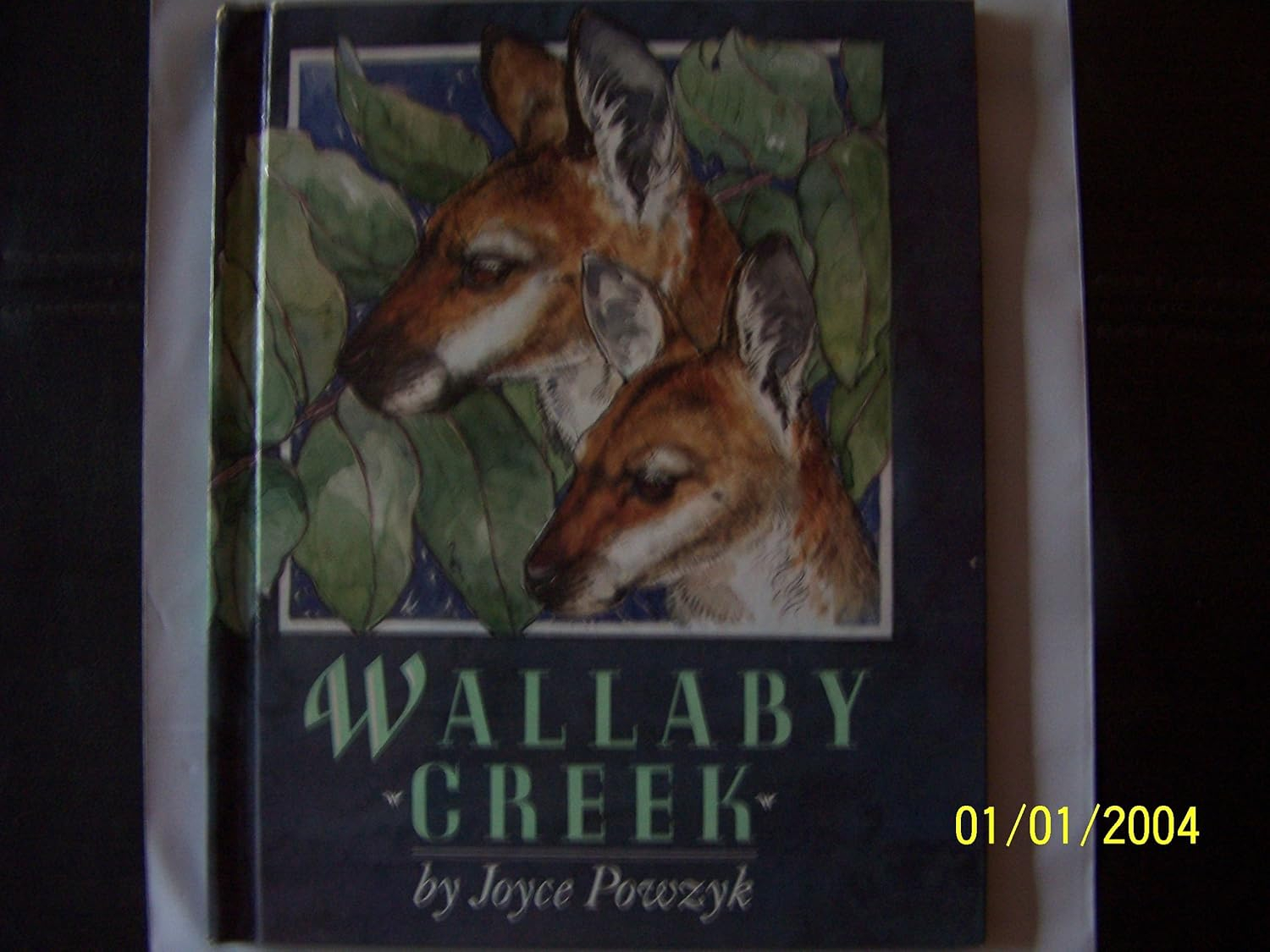 Wallaby Creek - Image 5