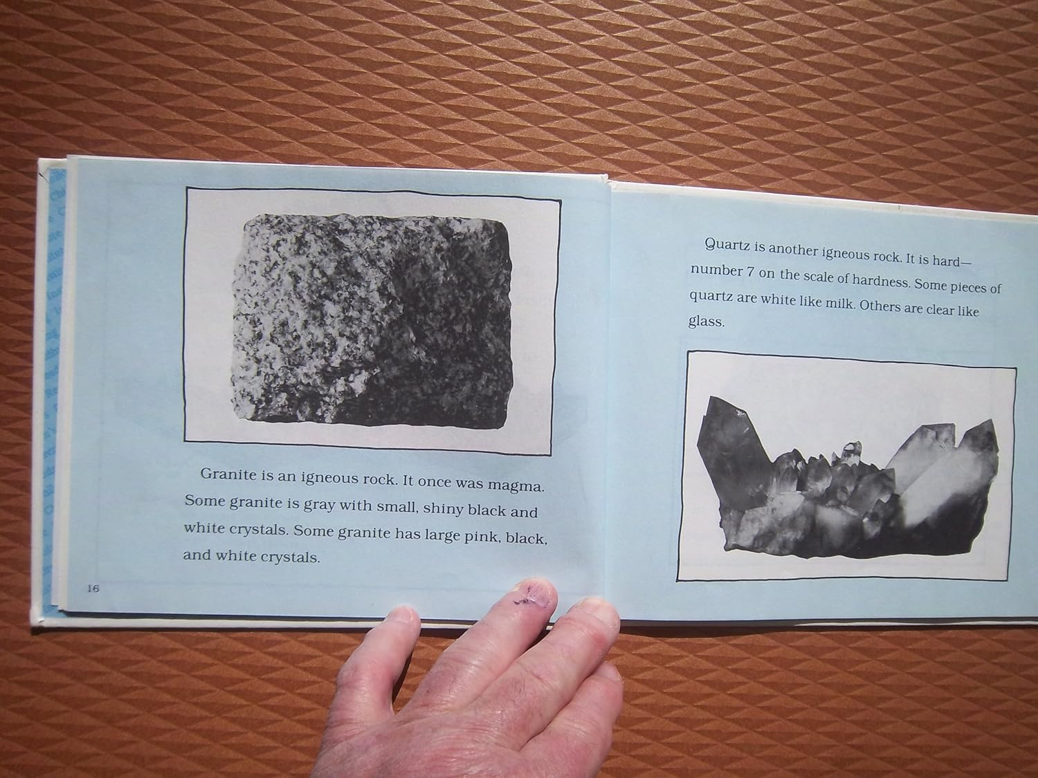 Rock Collecting: Illustr (Let's Read-And-Find-Out Science (Hardcover)) - Image 4