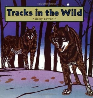 Tracks in the Wild