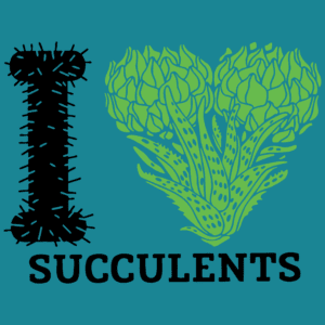 I heart succulents
