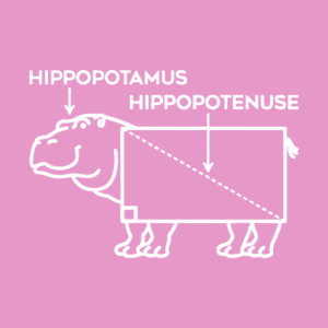 Hippopoteneuse